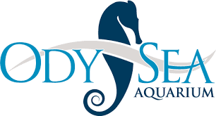 OdySea aquarium,logo