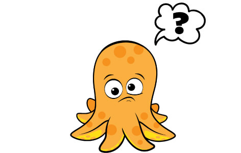 Buddy the octopus looking confused